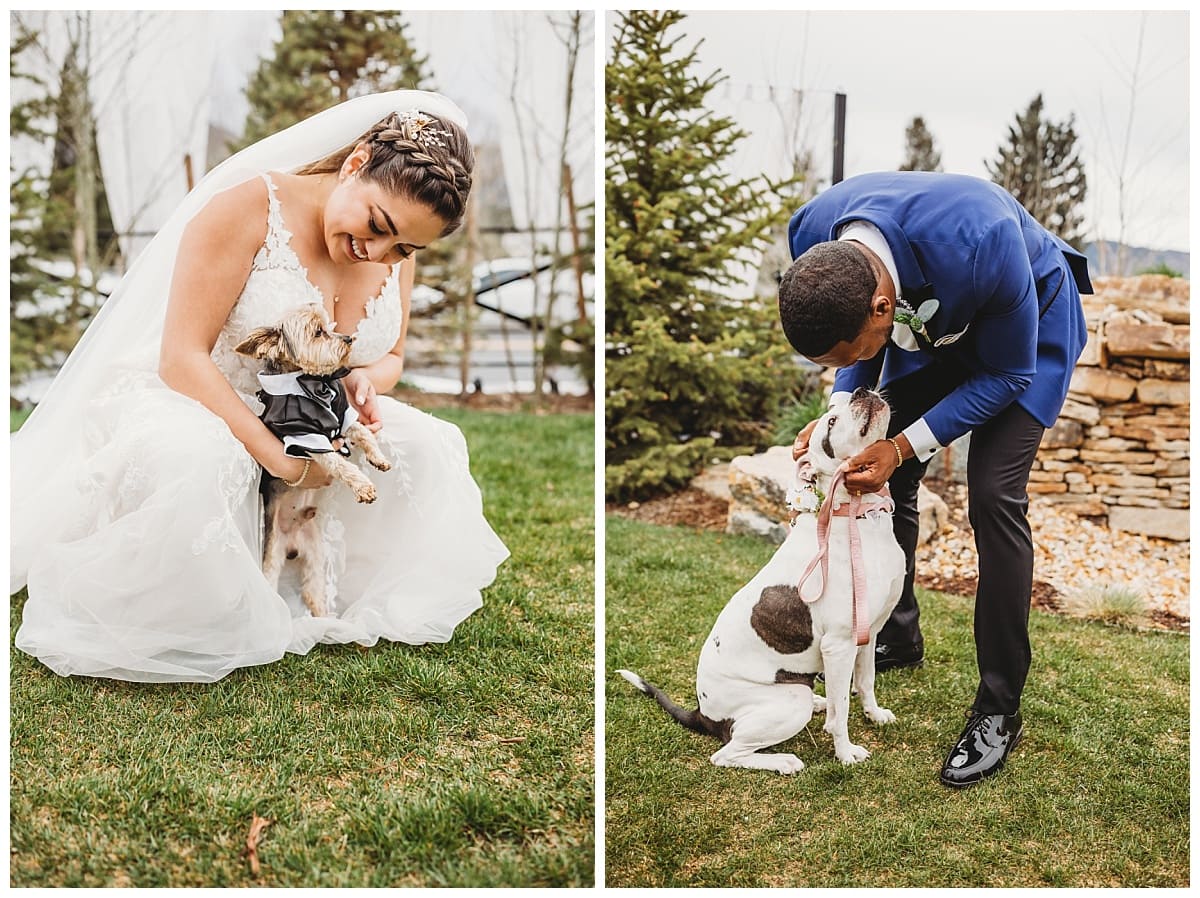 Colorado springs Wedding photographer, bride with her dog at Hearth House, groom with his pitbull, bride and her yorkie