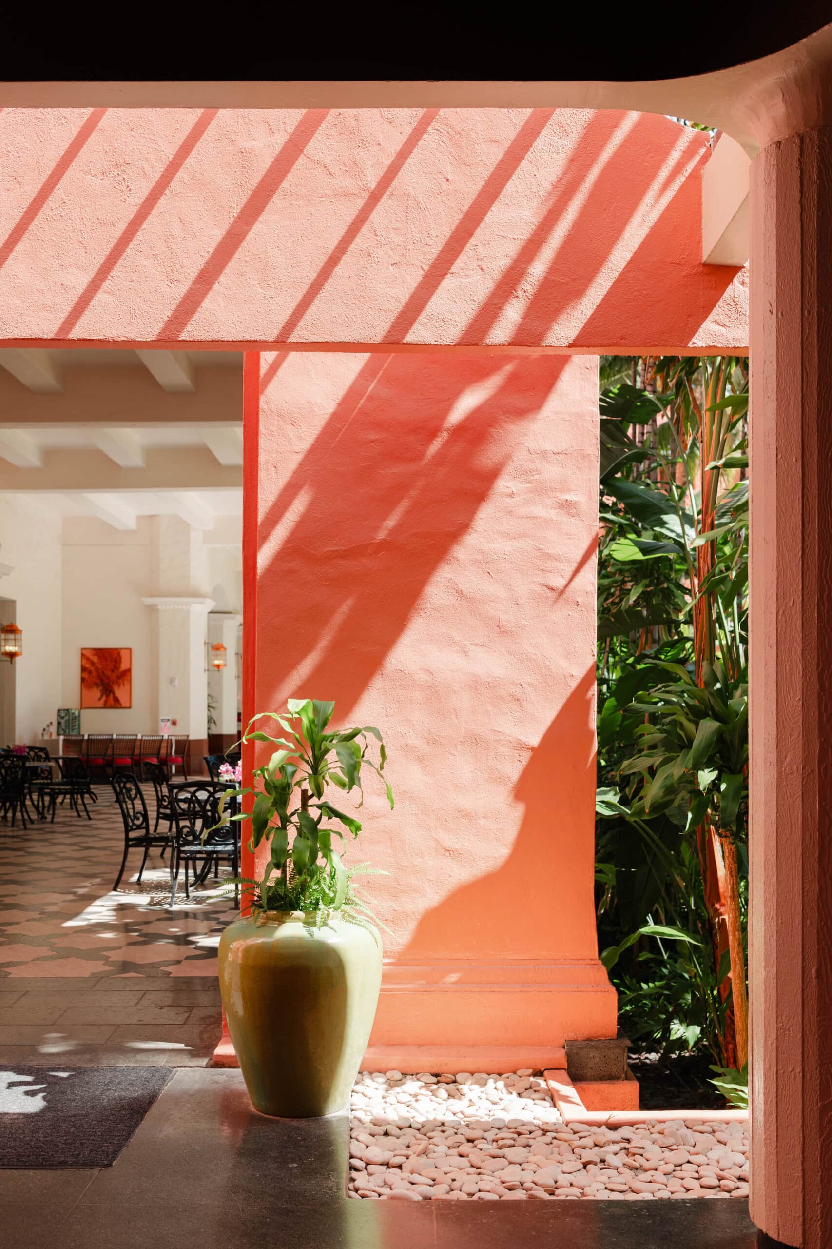 A plant at an intimate wedding venue, the Royal Hawaiian
